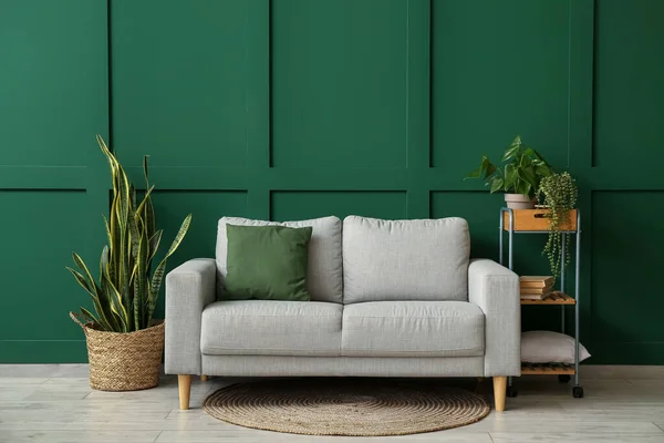 Wygodna Sofa Rośliny Domowe Pobliżu Zielonej Ściany — Zdjęcie stockowe