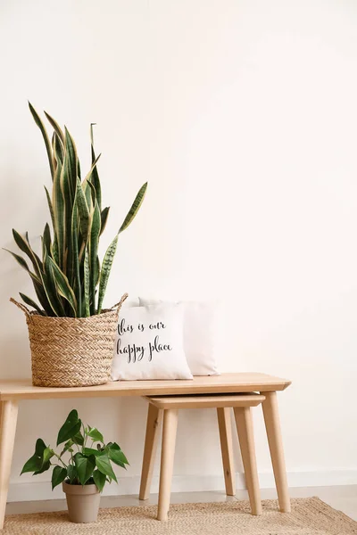 Stół Pięknymi Roślinami Krzesłem Pobliżu Białej Ściany — Zdjęcie stockowe