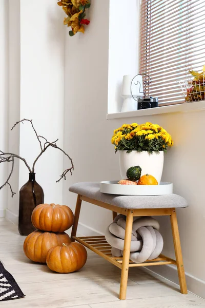 Interior Bela Sala Estar Com Decoração Outono — Fotografia de Stock