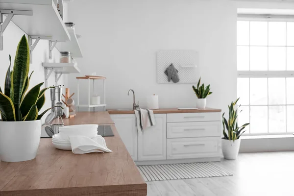 Stack Plates Towel Houseplant Counter White Wall Kitchen — Stock Photo, Image