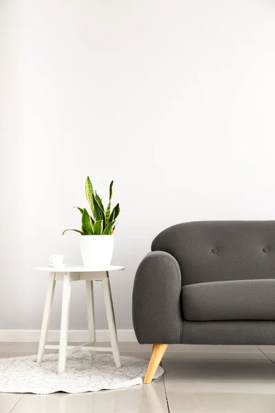 Stylish Sofa Houseplant Table Light Wall — Stock Photo, Image