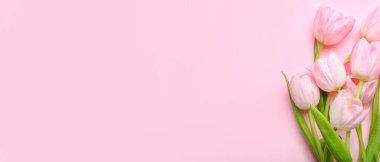 Pembe arkaplanda güzel laleler ve metin için boşluk