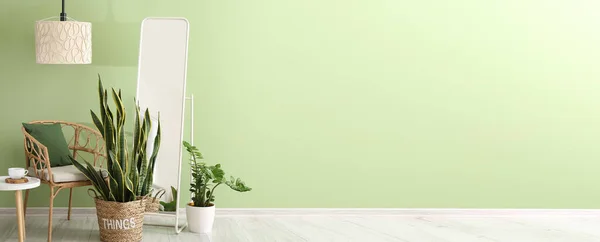 Удобное Кресло Зеркало Комнатные Растения Возле Зеленой Стены Номере — стоковое фото