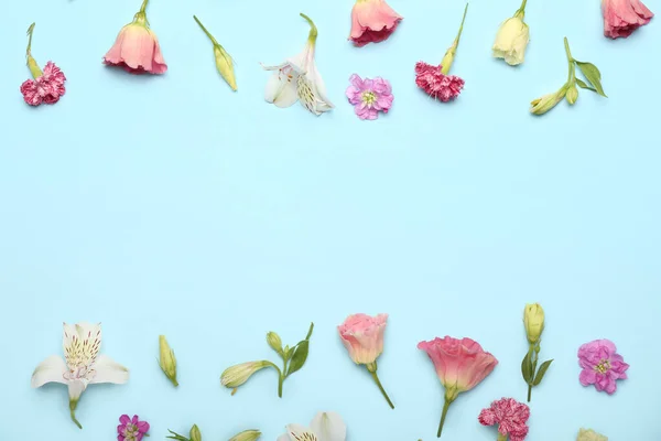 Различные Цветы Голубом Фоне — стоковое фото