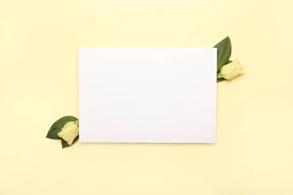 Foglio Bianco Carta Fiori Sfondo Colori — Foto Stock