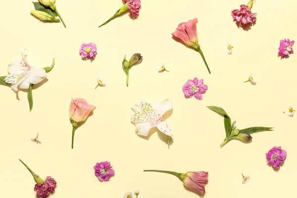 Many Different Flowers Color Background — Stock Photo, Image
