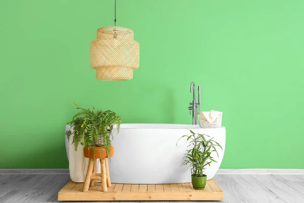 Elegante Bañera Hermosas Plantas Interior Cerca Pared Verde —  Fotos de Stock