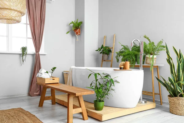 Interior Stylish Bathroom Bench Beautiful Houseplants — Stock Photo, Image