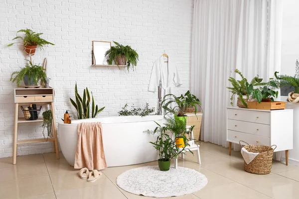 室内的时尚浴室与漂亮的室内植物 — 图库照片
