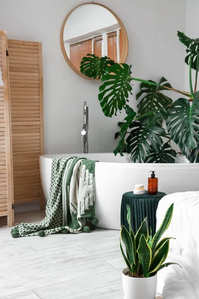 热带植物现代浴室的内部 — 图库照片