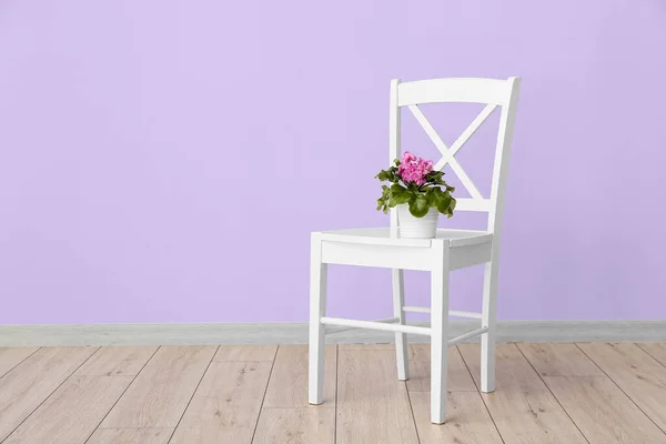 Pot Flowers Chair Violet Wall — Stock Photo, Image