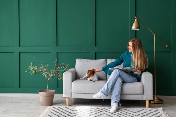 Young Woman Jack Russel Terrier Reading Magazine Grey Sofa Green — Stock Photo, Image