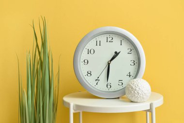 Yeni modern saate ve renk arkaplanlı ev bitkisine sahip masa