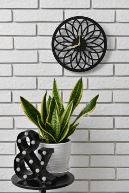 Odasında hafif tuğla duvarda asılı ev bitkisi ve modern saat olan masa.