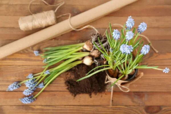 Ahşap zemin üzerinde çiçek açan üzüm sümbülü bitkileriyle (Muscari) kompozisyon