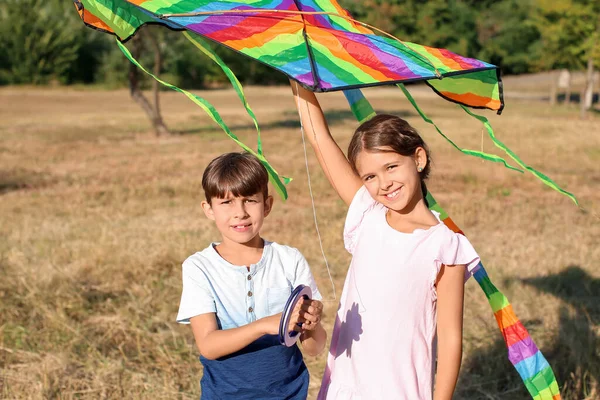 Cute Little Girl Her Brother Kite Park — Stock Photo, Image