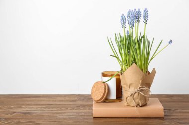 Çiçek açan üzüm sümbülü (Muscari), masa üzerinde beyaz arka plan karşı kitap ve mum
