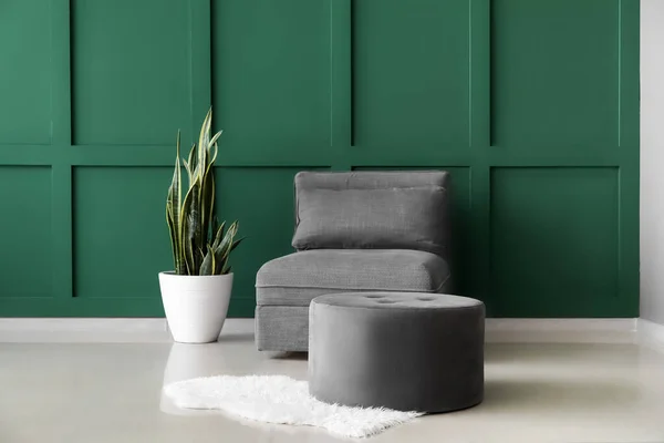 Comfortable Pouf Armchair Houseplant Color Wall — Stock Photo, Image