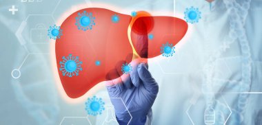 Hafif arka planda karaciğeri çizilmiş bir doktorun eli, yakın plan. Hepatit konsepti