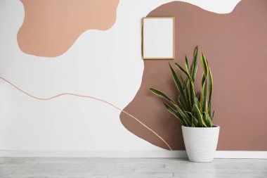 Çiçek ve boş çerçeve renk duvarında