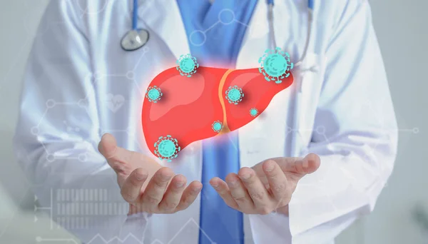Male doctor with drawn liver, closeup. Hepatitis concept