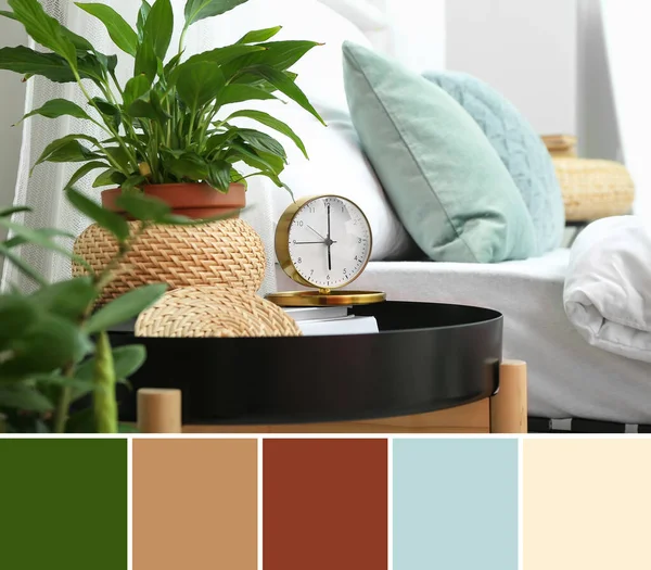 Alarm Clock Houseplant Table Bedroom Different Color Samples — ストック写真