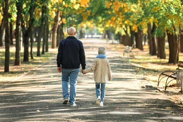 小女孩和她的祖父在公园里散步 后视镜 — 图库照片