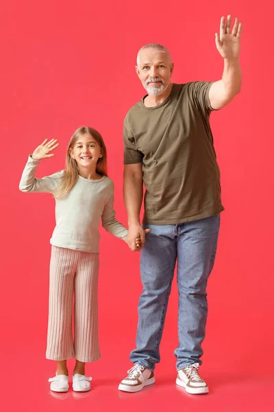Little Girl Her Grandfather Waving Hands Red Background — Stock Photo, Image