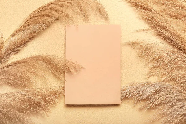 Güzel kurutulmuş otlar ve bej arka planda boş kağıt.