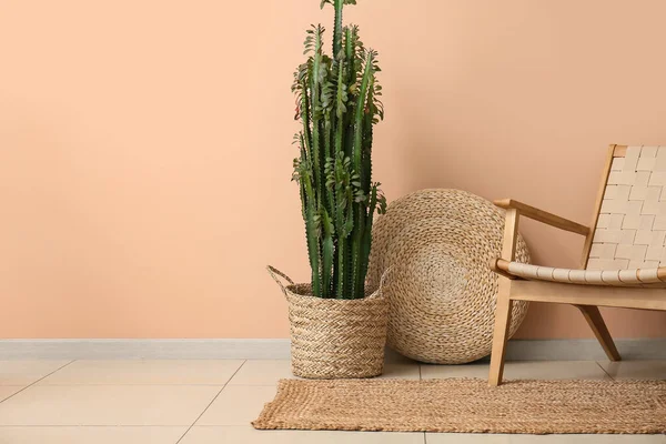 Bej duvarın yanında puf ve koltuk olan büyük bir kaktüs.