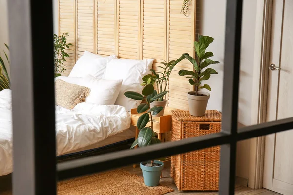 Interieur Van Lichte Slaapkamer Met Kamerplanten Vouwscherm — Stockfoto