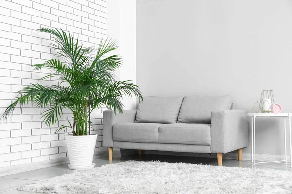 Innenraum Eines Hellen Wohnzimmers Mit Grauem Sofa Tisch Und Palme — Stockfoto