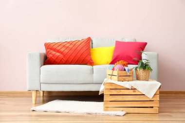 Yastıklı modern kanepe ve odadaki renkli duvarın yanındaki masada bitki örtüsü.