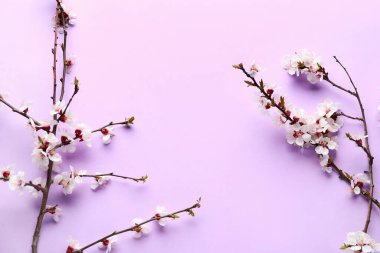 Leylak arka planında güzel açan bahar dalları