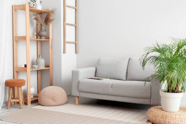 İçinde kanepe, raf ünitesi, saksı ve puf olan modern bir oturma odası.