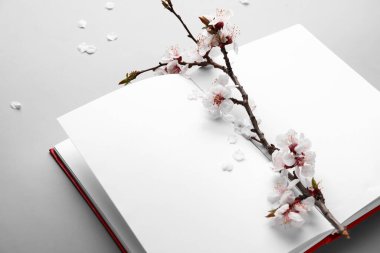 Güzel açan bahar dalı ve açık bir kitap. Işık arkaplanı üzerine boş sayfalar.