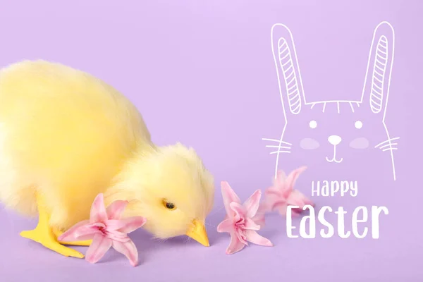 Easter Greeting Card Cute Chicken Spring Flowers Lilac Background — Stock Photo, Image