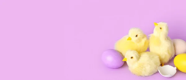 Cute Chickens Easter Eggs Lilac Background Space Text — Stock Photo, Image