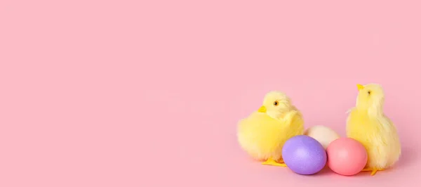 Şirin Sarı Tavuklar Pembe Arka Planda Paskalya Yumurtaları — Stok fotoğraf
