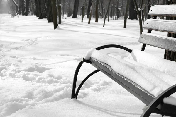 Houten Bench Bedekt Met Sneeuw Winter Park — Stockfoto