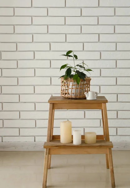 Stepladder Ficus Benjamina Pot Candles White Brick Wall — Stock Photo, Image