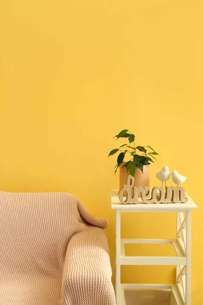 Ficus Benjamina Pot Decor Table Yellow Wall — Stock Photo, Image