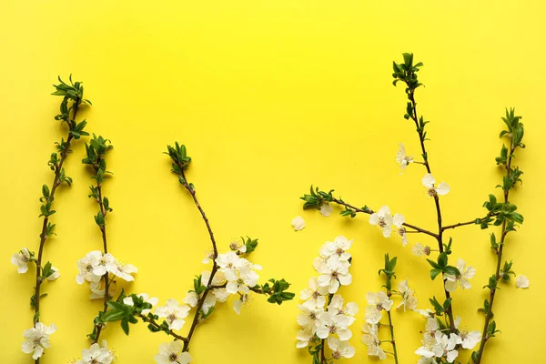 Piękne Kwitnące Gałęzie Wiosny Żółtym Tle Widok Góry — Zdjęcie stockowe