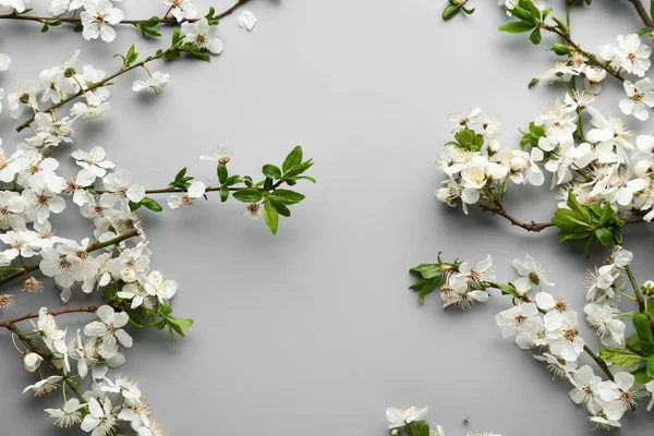 Beautiful Blooming Spring Branches Light Background — Stock Photo, Image