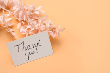 Kağıt yaprağı ile metin teşekkür size ve renk arkaplan üzerine bitki dalı