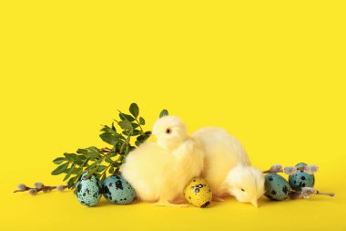 Cute chickens, pussy willow branches and Easter eggs on yellow background