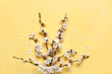 Sarı arka planda açan bahar dalları