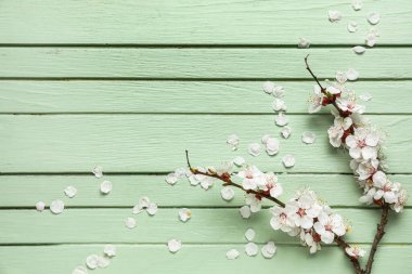 Yeşil ahşap arka planda açan bahar dalları