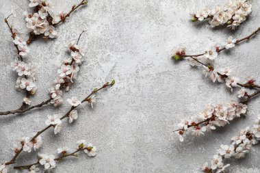 Gri arka planda güzel açan bahar dalları, üst manzara