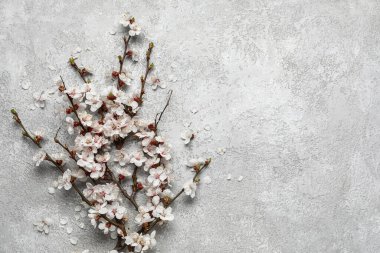 Gri arkaplanda güzel açan bahar dalları